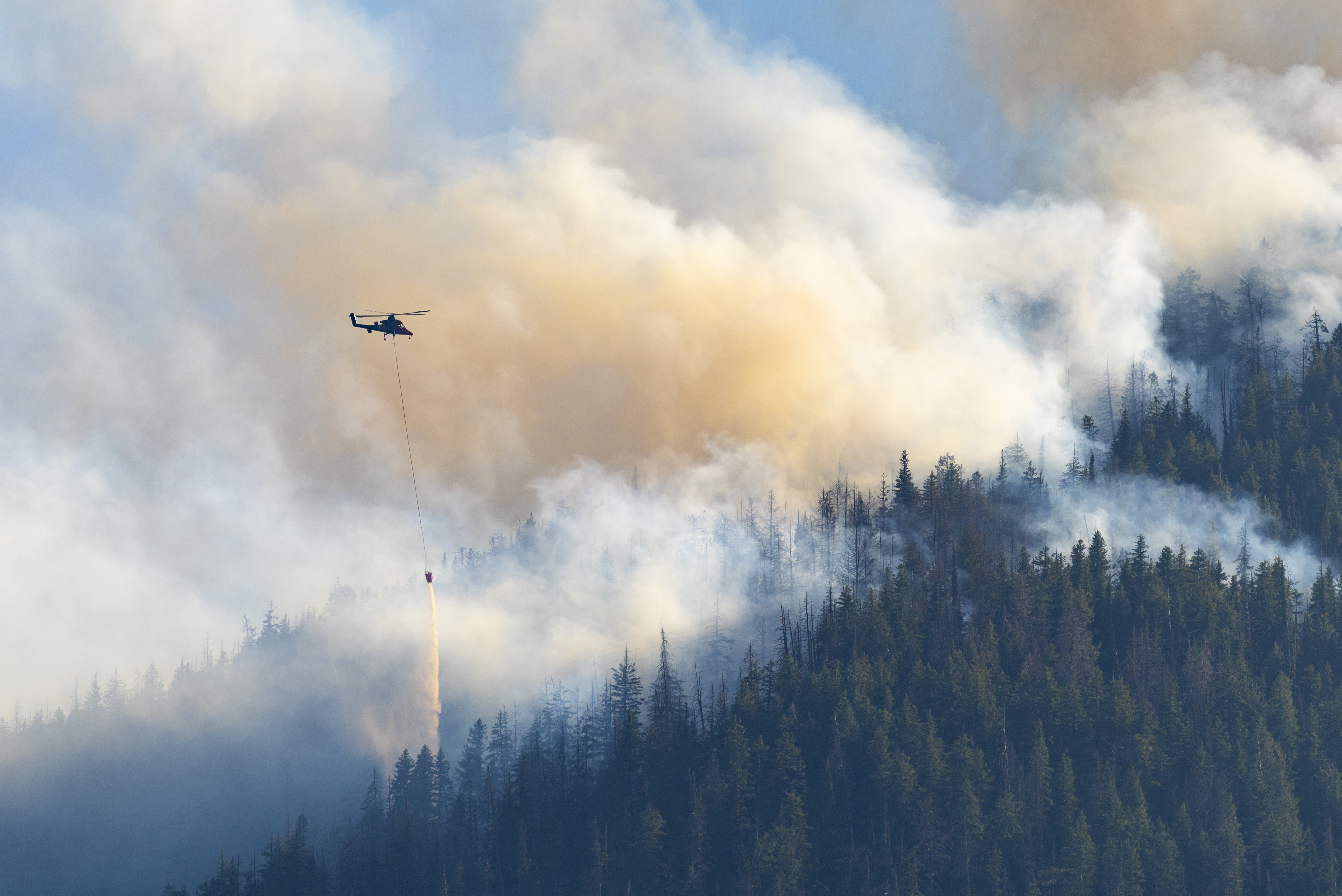 helicopter putting out fire in a forest
