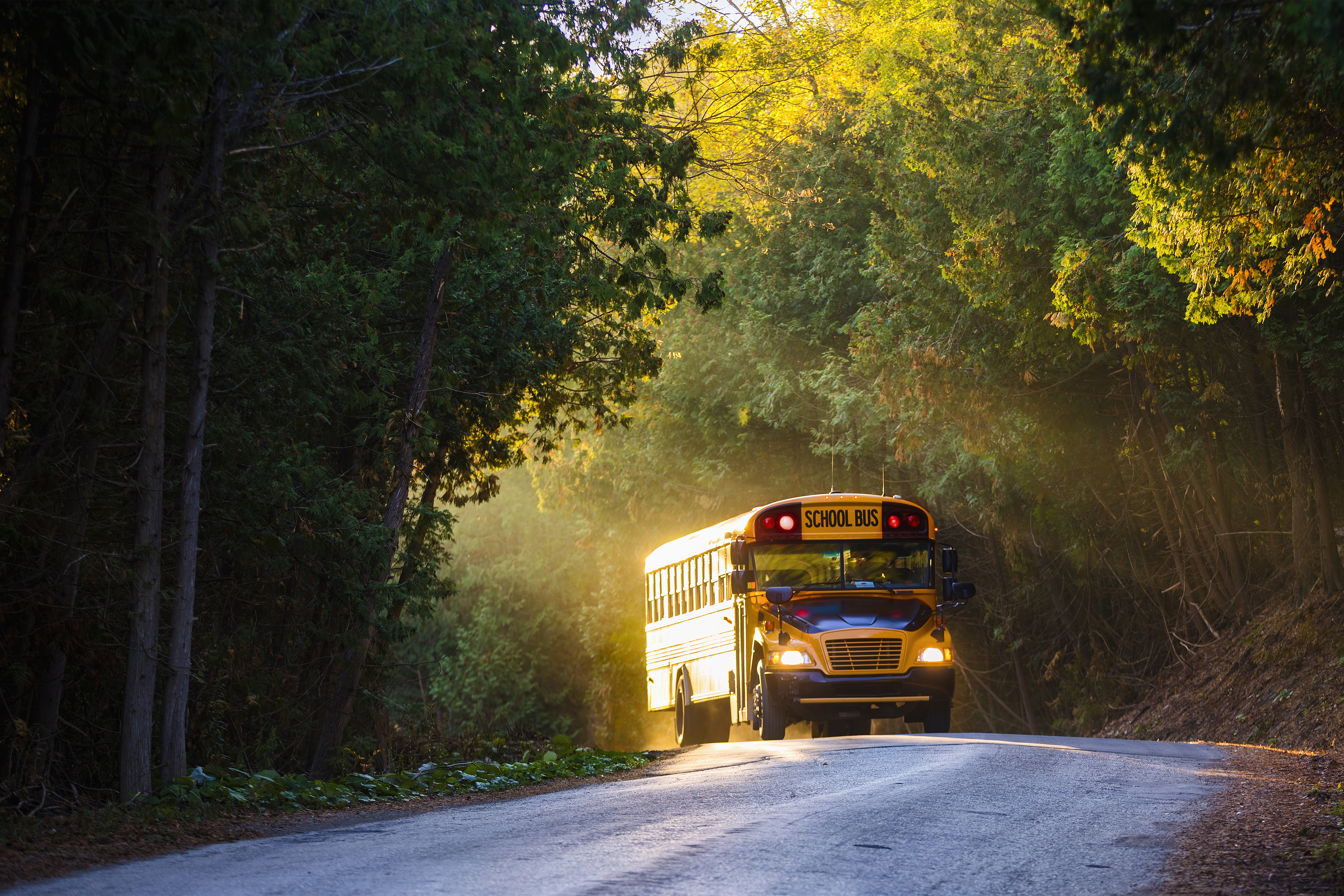 school bus